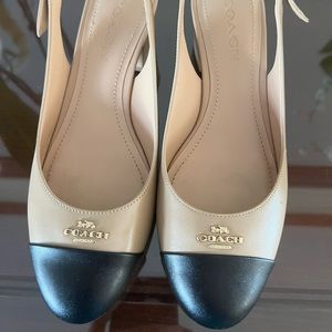 Lady like shoes with small heels.
